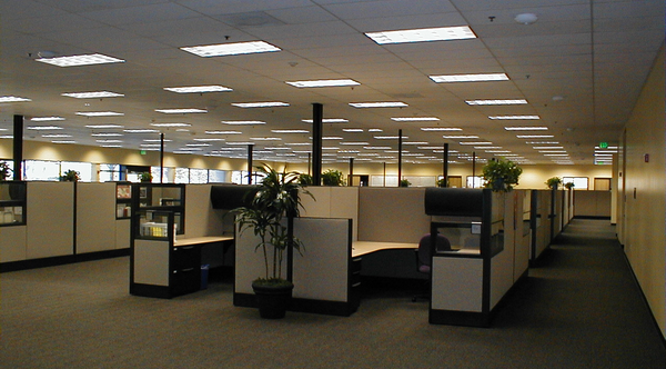 cubicles