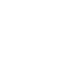 Government Icon Image